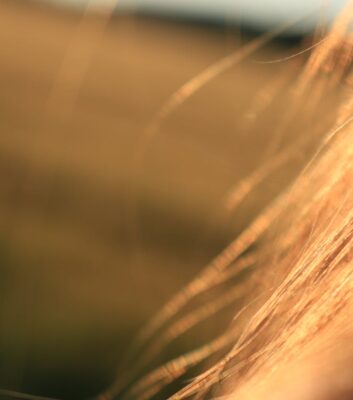 Czy peruki syntetyczne nadają się na lato