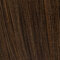 darkchocolate rooted