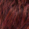 hotflame rooted