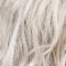 silverblonde rooted