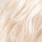cream blonde mix