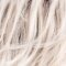 silverblonde rooted