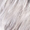 ice blonde shaded