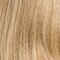 sandyblonde tipped