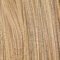 sandyblonde rooted