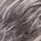 dark grey shaded